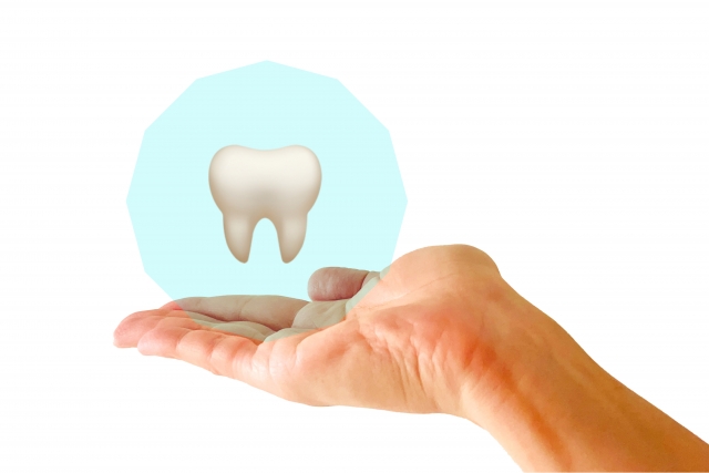むし歯の原因(歯の質)